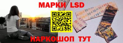 МДПВ Волгодонск