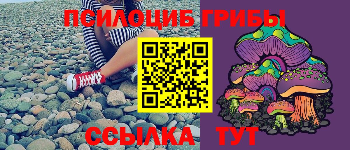 Псилоцибиновые грибы Psilocybe  Вход с VPN  Дубна 